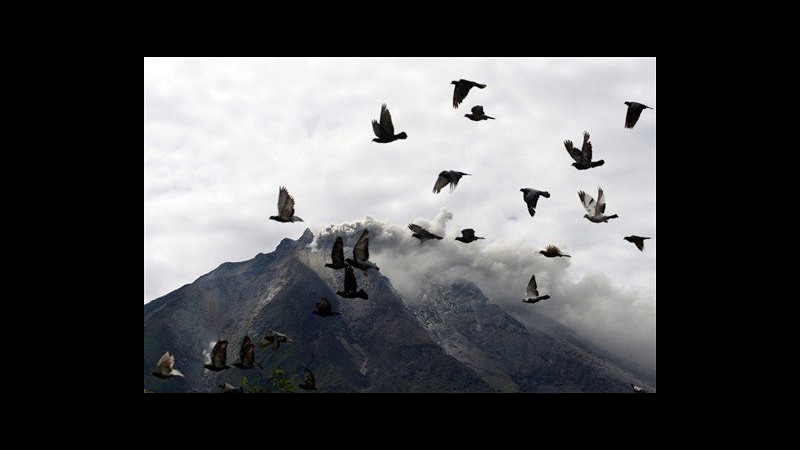 Indonesia, erutta vulcano Sinabung: 5.956 persone evacuate