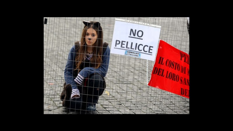 Peta fa appello al Papa per rinunciare al cuoio in nuova papamobile