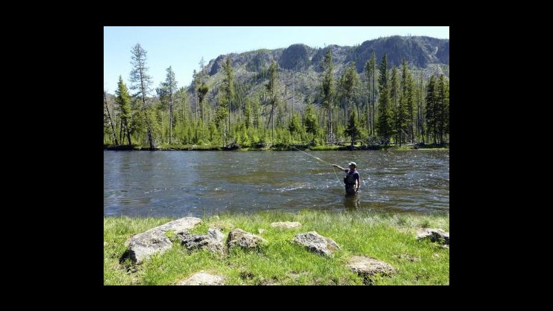 Usa, muore bimba di 3 anni a Yellowstone per colpi pistola: si indaga