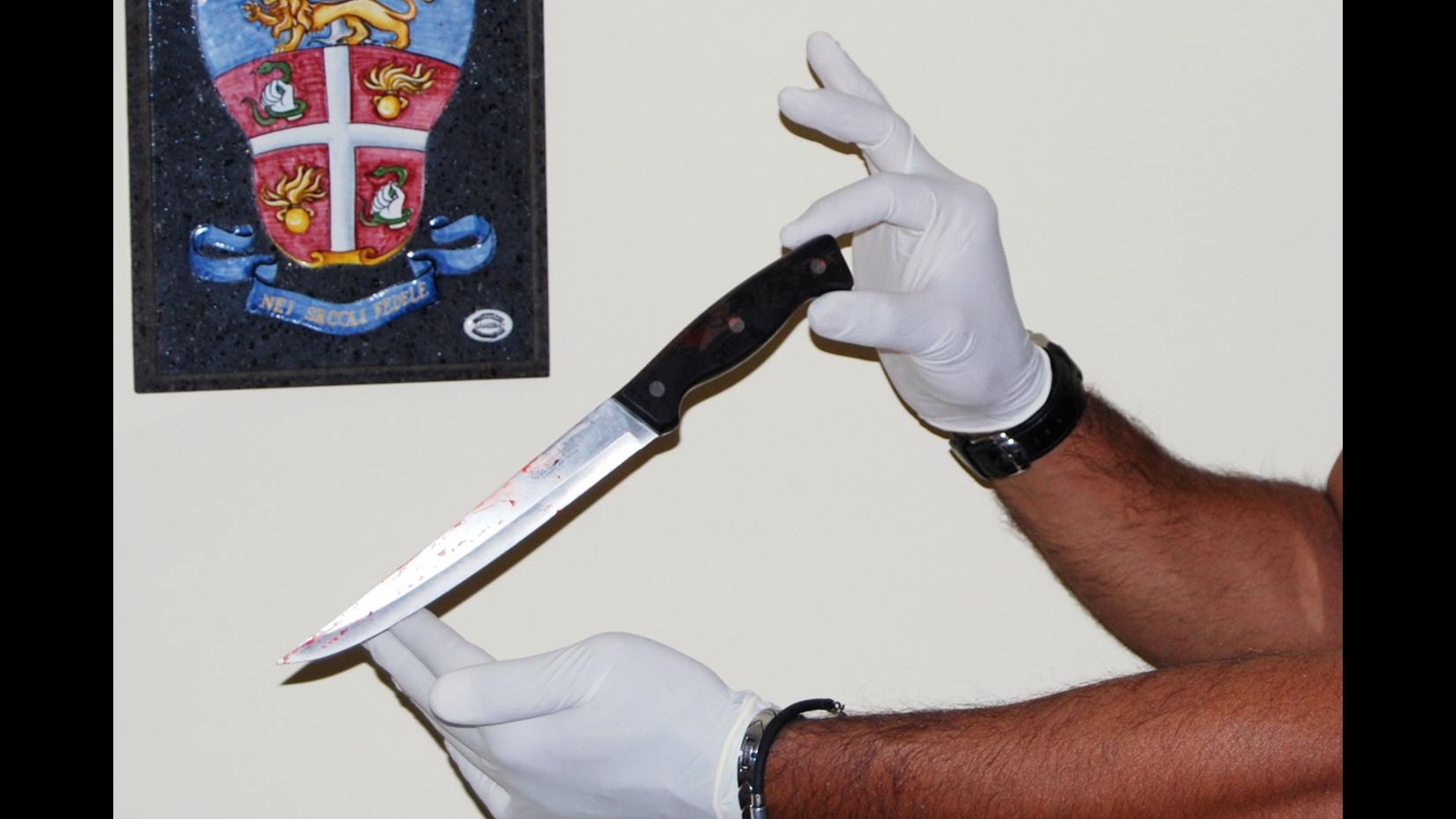 Accoltella compagna 56enne nel veronese: voleva avvelenarmi