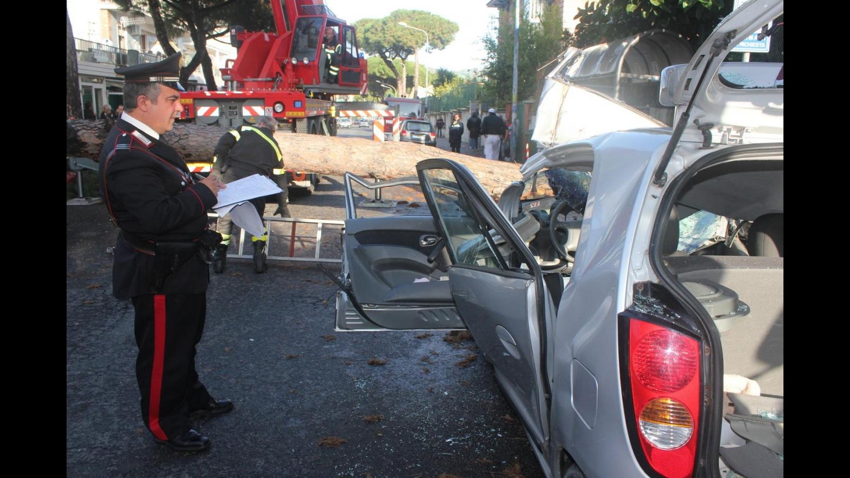 Maltempo, albero cade su auto: un morto nel napoletano