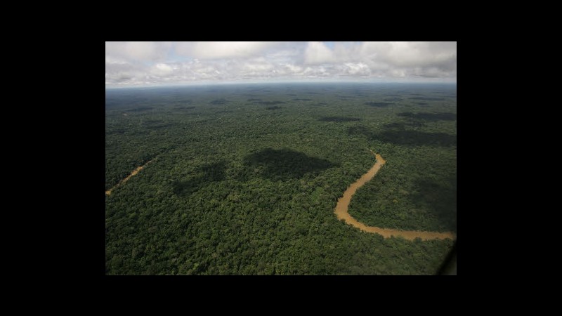 Unesco, riserve in Honduras e Sumatra sono di nuovo in pericolo