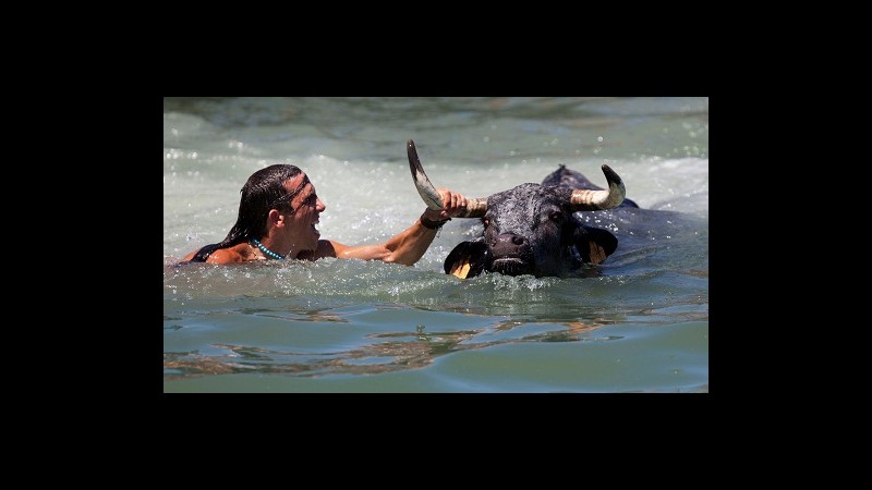 Un bagno con il toro