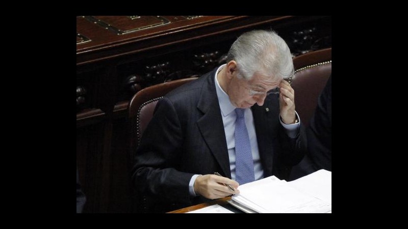 Monti: Non chiediamo una fiducia cieca