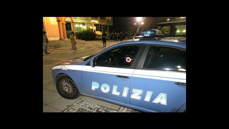 Roma, trovati due feti di cane in un cassonetto