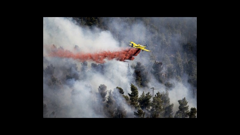 Israele, incendio in foresta vicino memoriale Yad Vashem, forse doloso