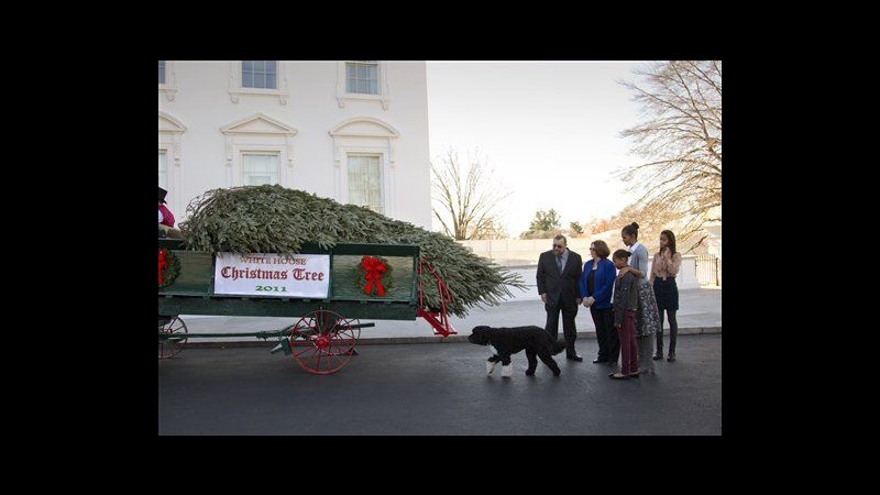 Michelle, Sasha e Malia Obama accolgono albero Natale Casa Bianca