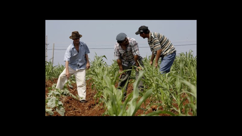 Cuba, da dicembre nuovo sistema prestiti per agricoltori e imprese