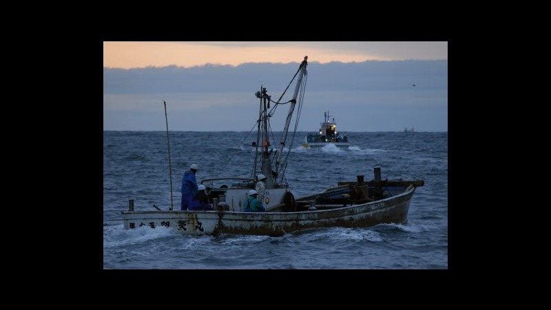 Marocco, governo critica fine accordo con Ue su diritti pesca