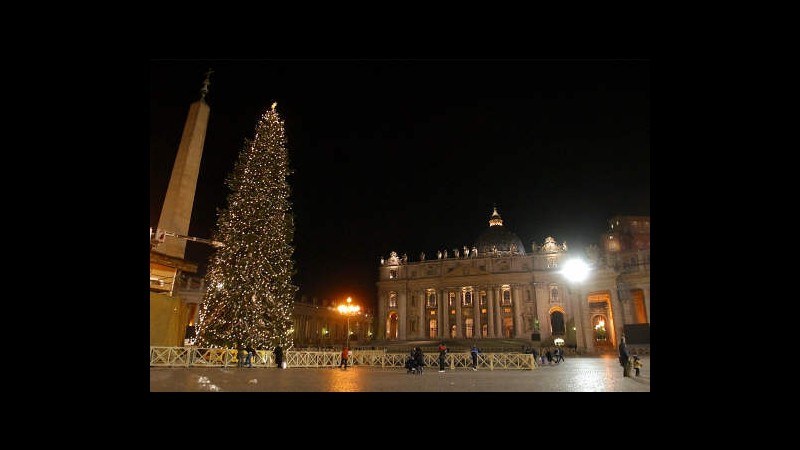 Vaticano, arrivato l’albero di Natale