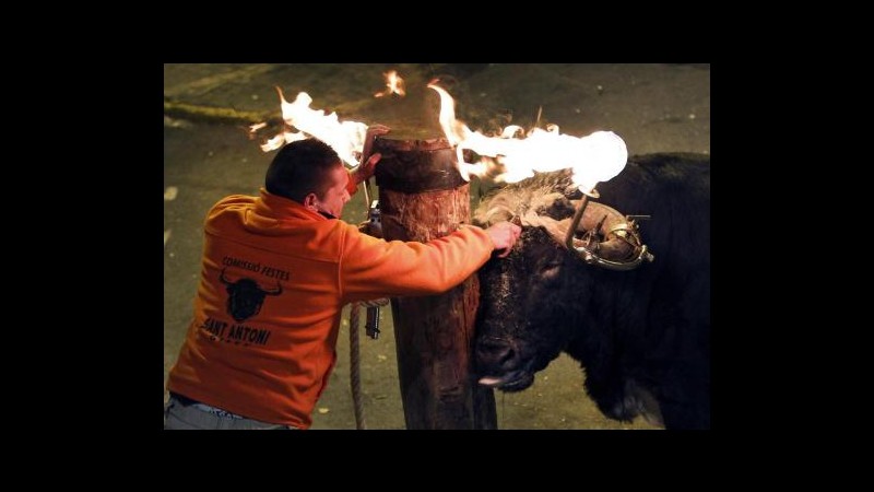 Spagna, uomo muore incornato in festival tori con corna ‘incendiate’