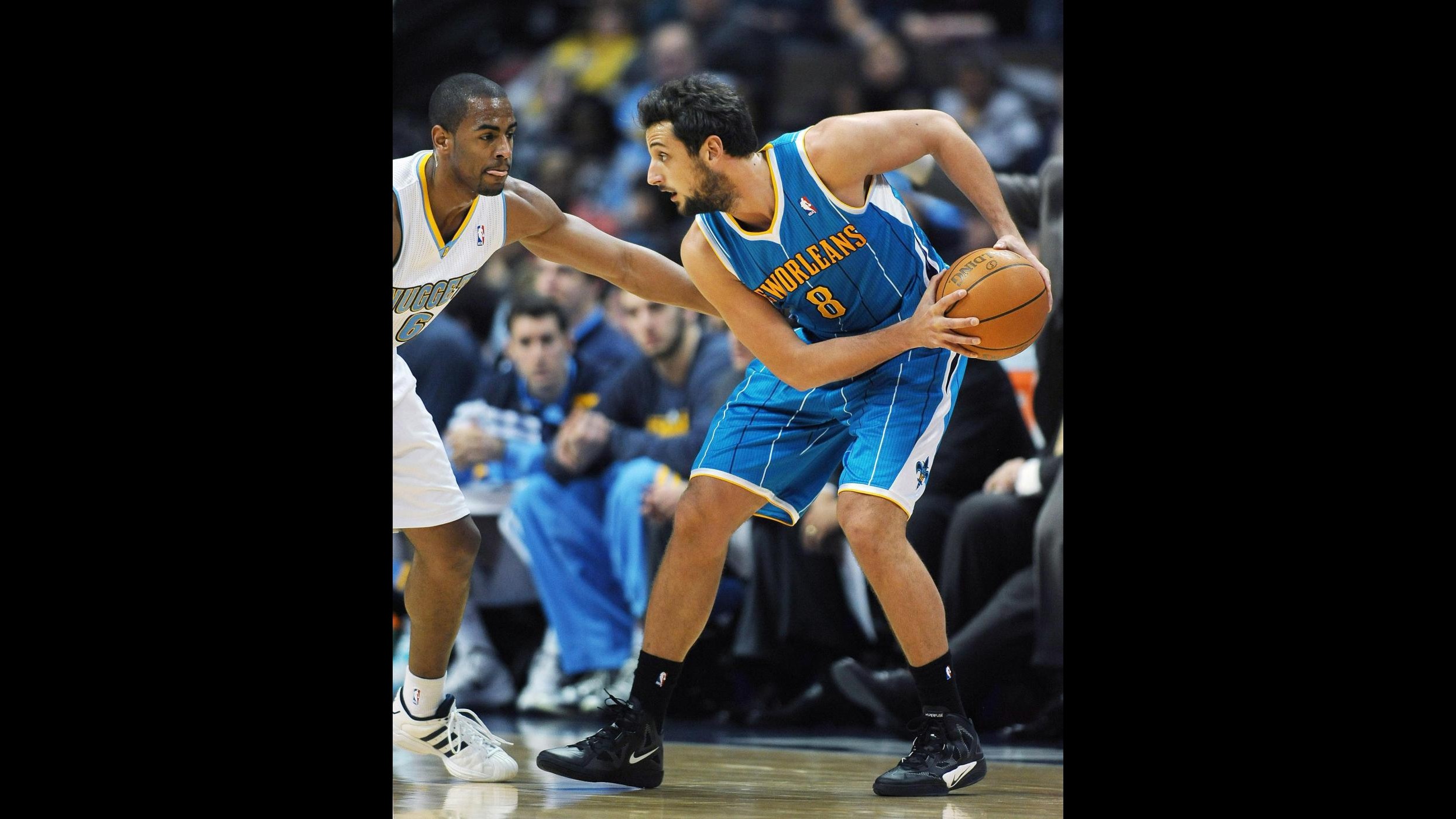 Tornano alla vittoria gli Hornets di Belinelli, ok Miami e Dallas