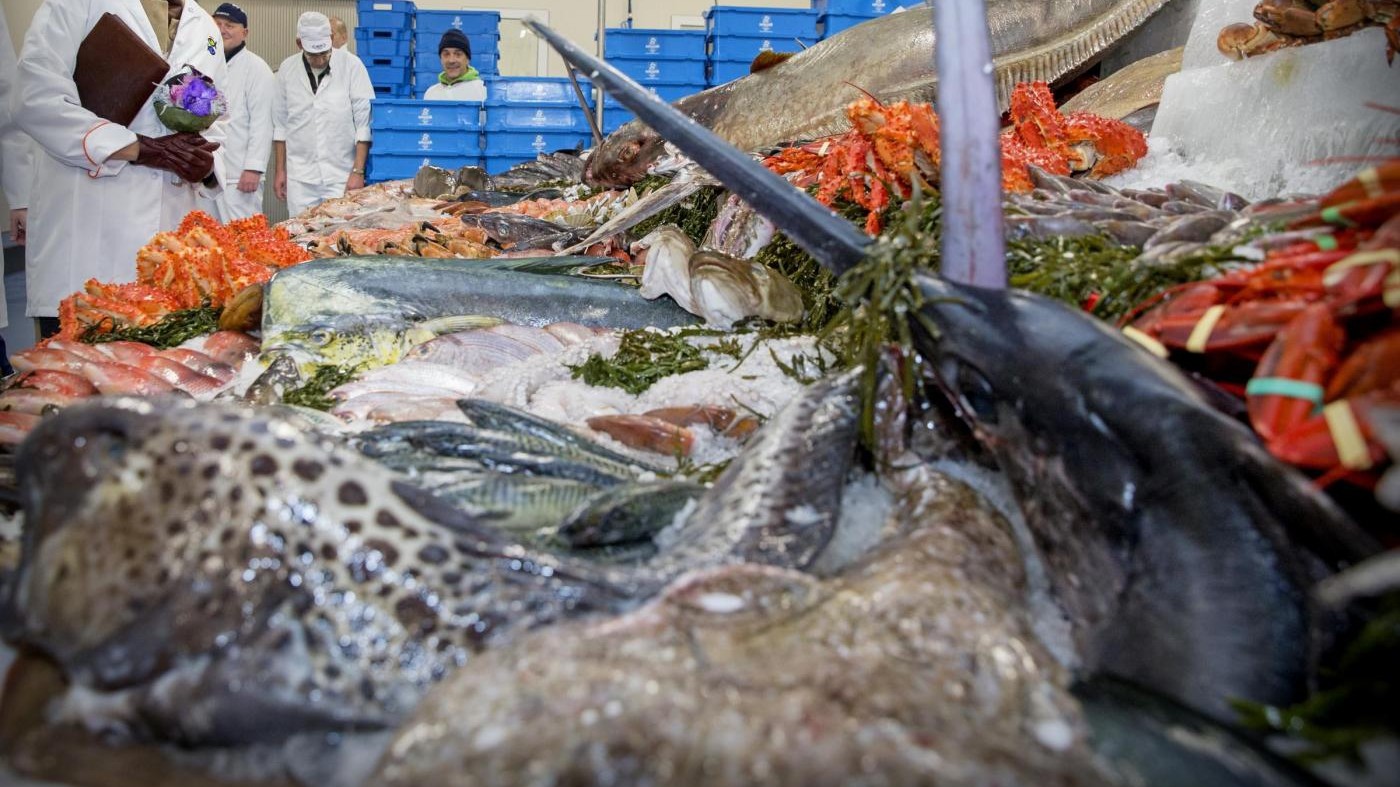 Cosenza, sequestrato oltre mezzo quintale di pesce nocivo