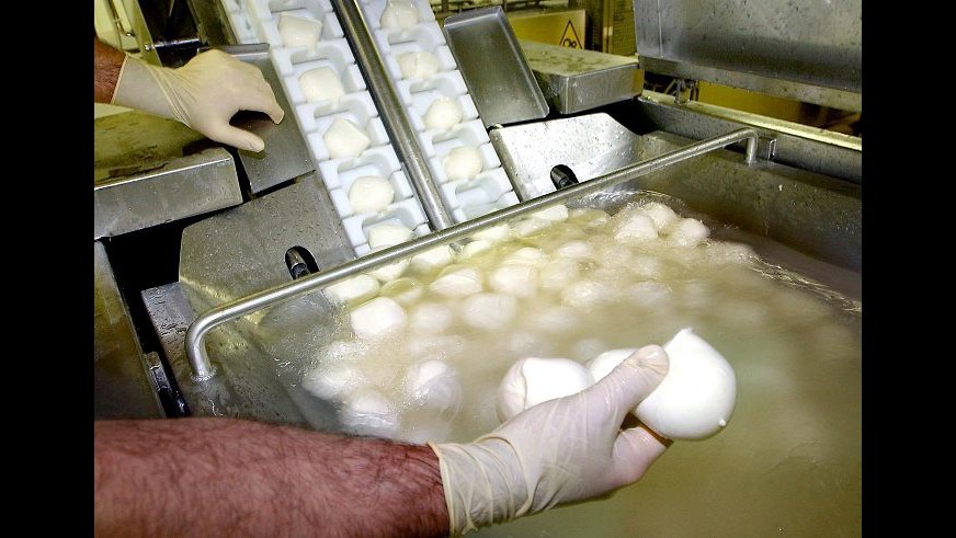 Dieci tonnellate di formaggi avariati, chiuso caseificio a Palermo