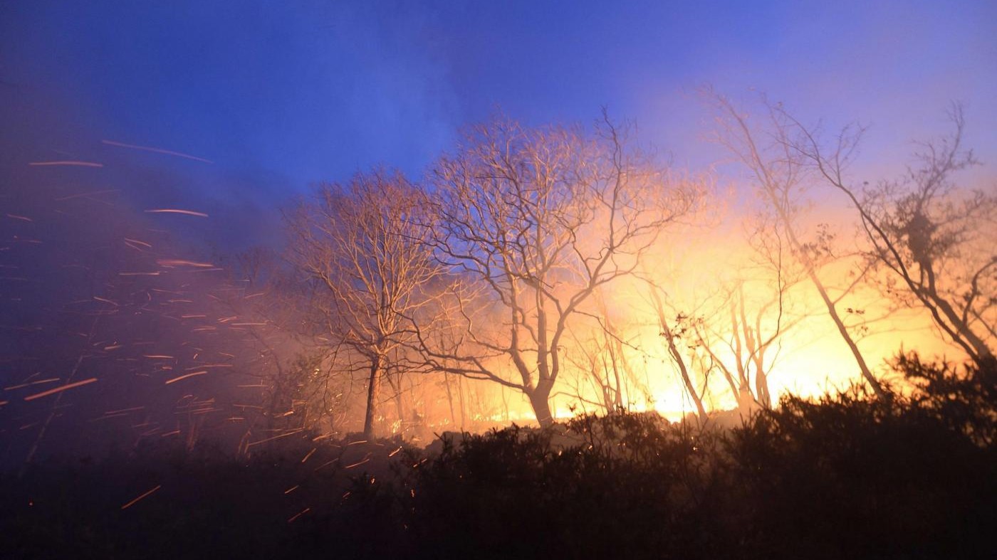 Incendi nel palermitano: pronto a evacuazione ospedale di Cefalù