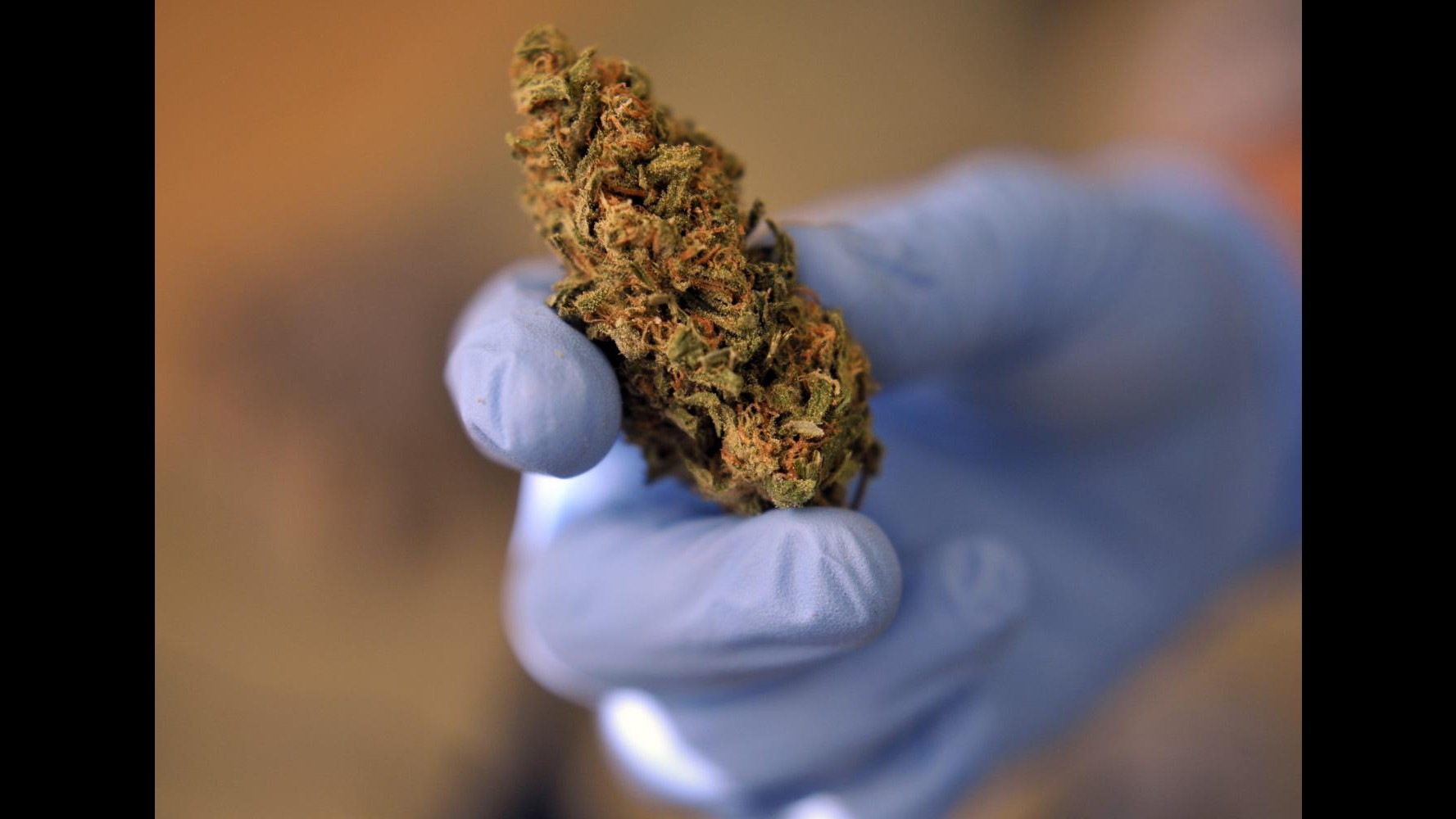 Brindisi, fermato motoscafo con a bordo 1.700 kg marijuana: 5 arresti