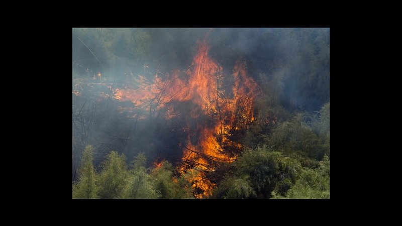 Incendi monte Kenya hanno distrutto il 10% dei boschi