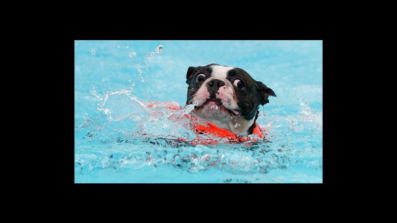 … bellezza animale!