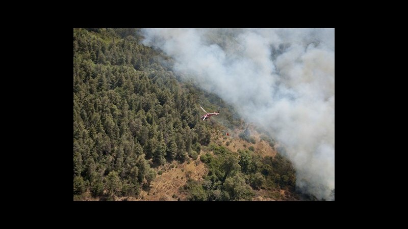 Animali in fuga per incendi sul Monte Kenya, patrimonio Unesco