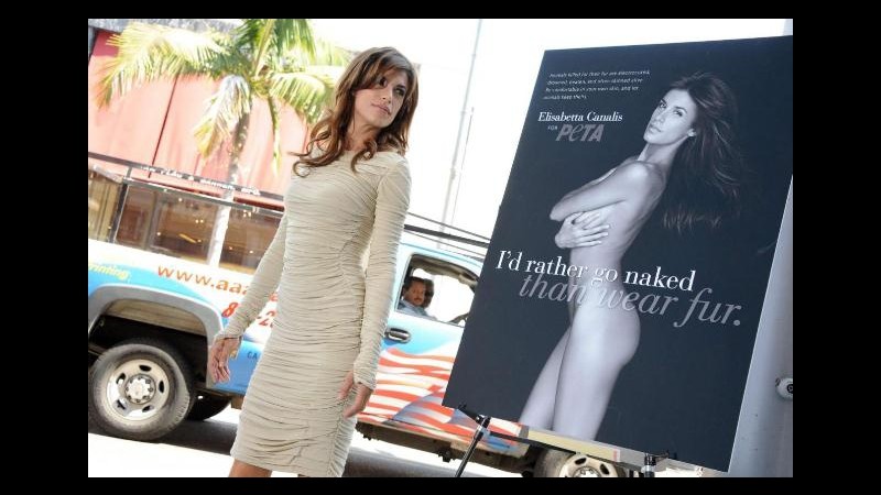 Elisabetta Canalis difende gli animali: Meglio nuda che in pelliccia