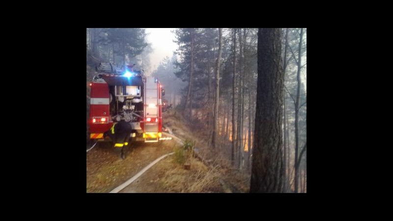 Incendio doloso nei boschi in provincia di Trento