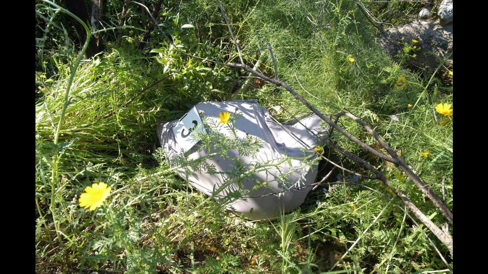 Enna, 34enne confessa: Ho ucciso Vanessa