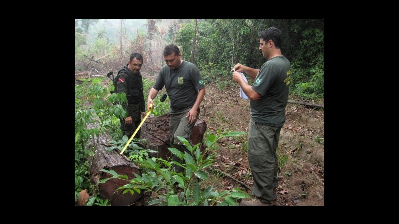 Brasile, Camera approva modifica codice forestale: Amazzonia a rischio