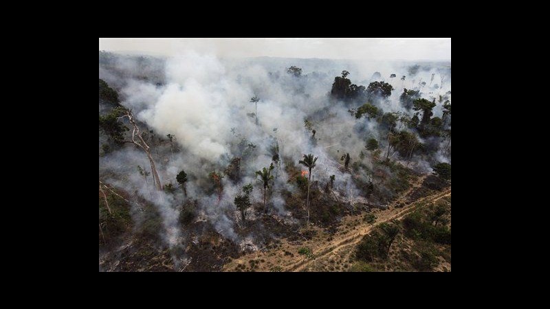 Brasile vota riforma codice forestale. Attivisti: Amazzonia in pericolo