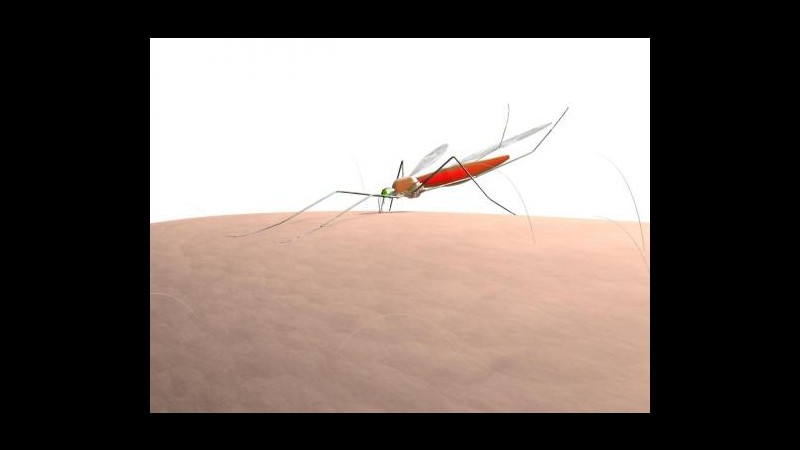Onu: Necessari 3,2 mld dollari per sconfiggere malaria entro 2015
