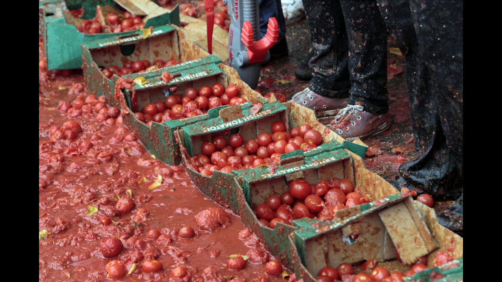 Sequestrate a Latina 100 tonnellate di passata di pomodoro avariata
