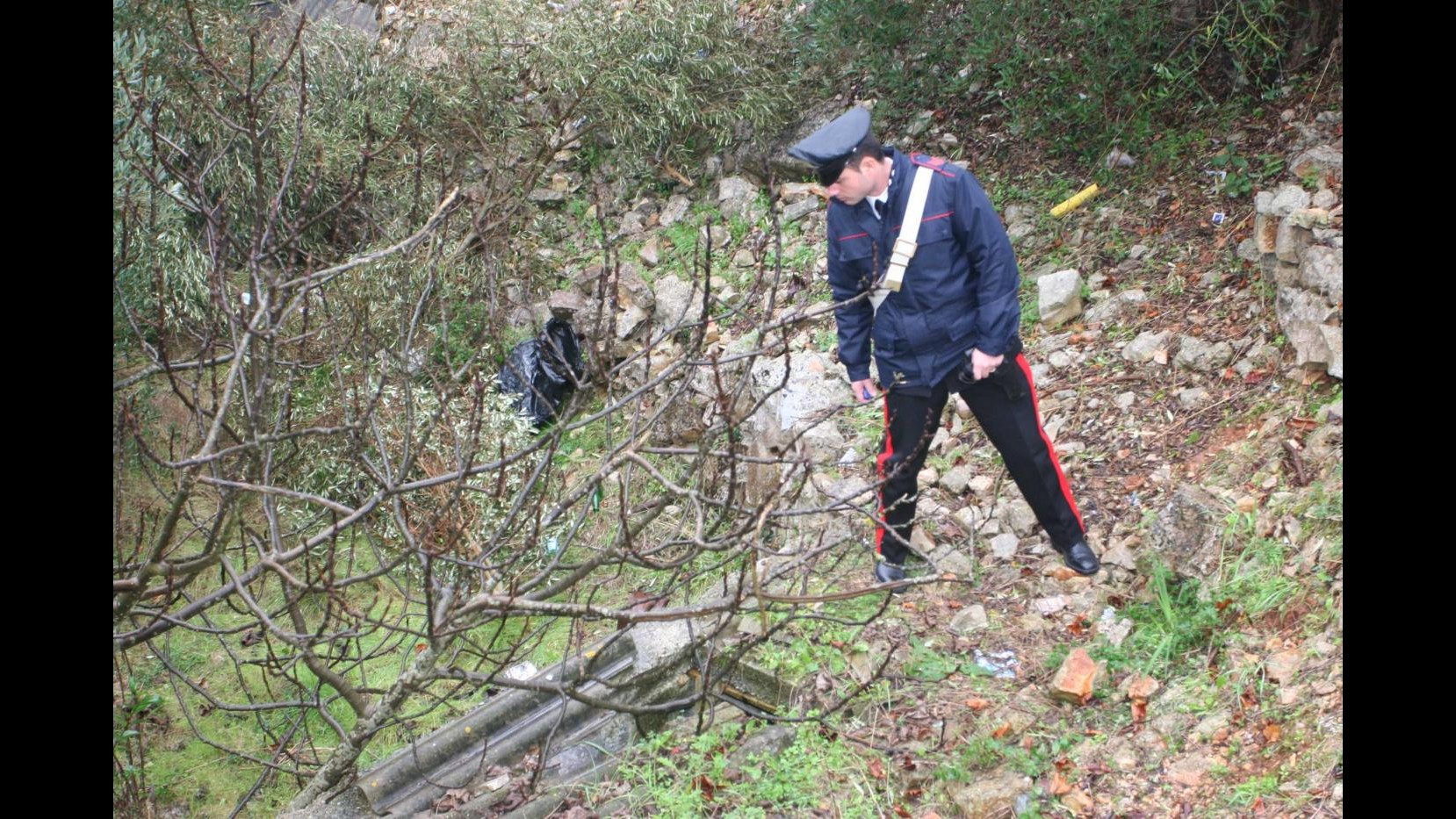 Roma, 2 cadaveri in pineta, forse coinvolti in omicidio clochard