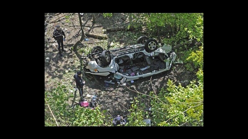 Usa, furgone va fuori strada e precipita in zoo del Bronx: 7 morti