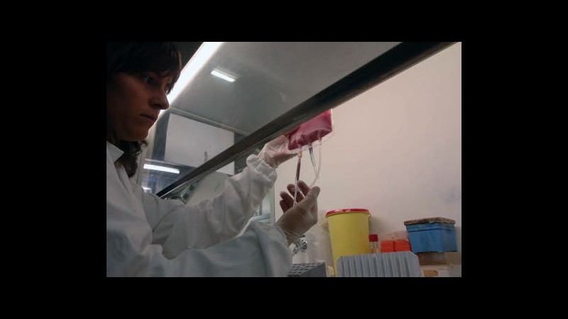 Furto di attrezzature pediatriche al policlinico di Milano