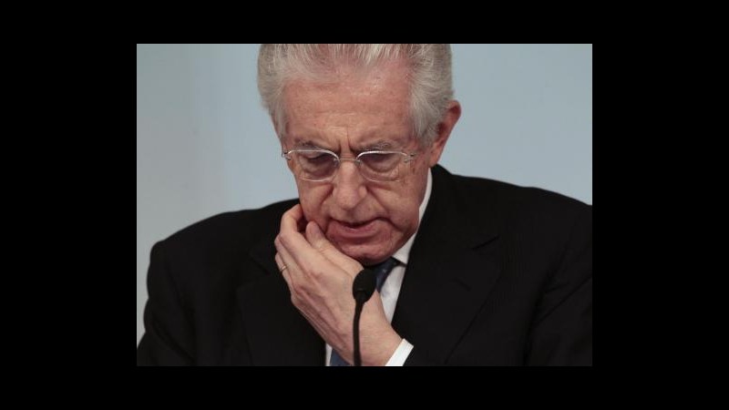 Monti: Mi sento una piccola rondine
