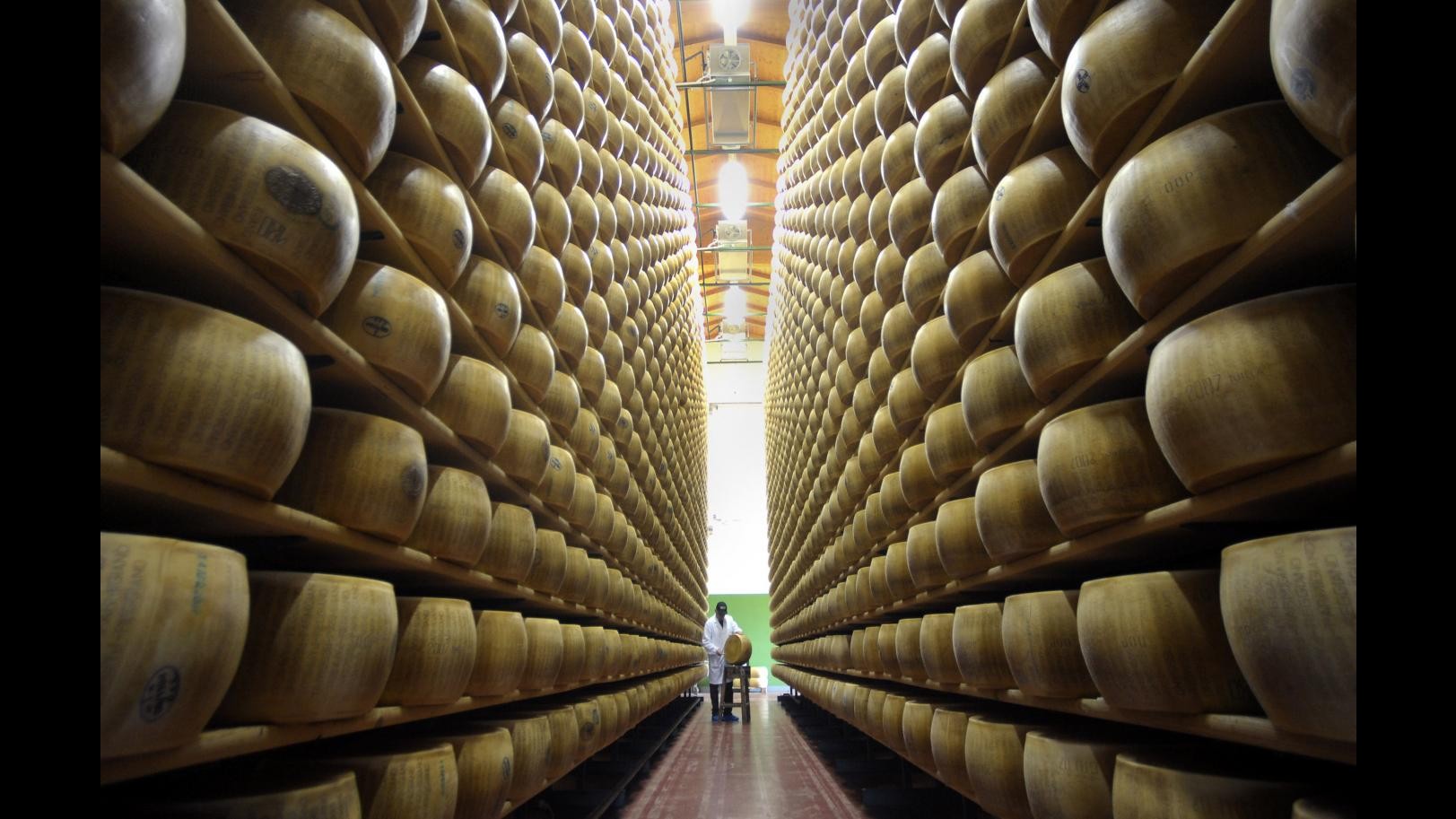 Sisma Emilia, Coldiretti: la ‘food valley’ ferita per 500 milioni