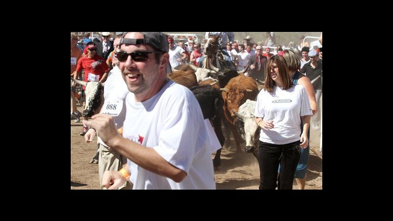 Arizona, corsa dei tori in stile San Firmino, ma con corna spuntate