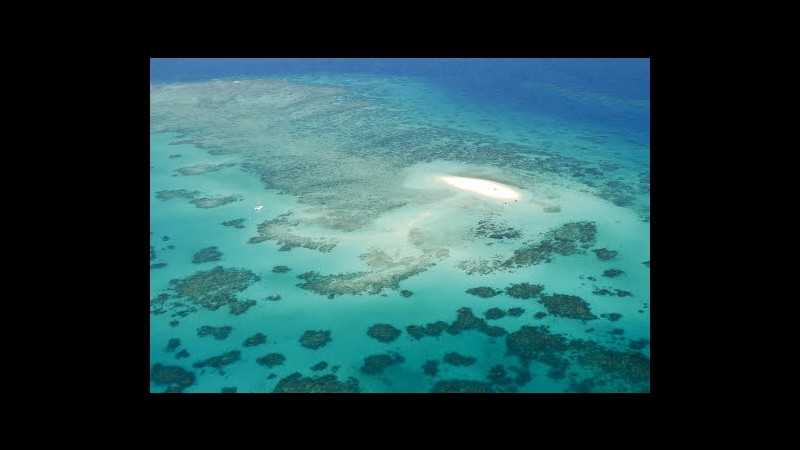 Australia creerà rete di riserve marine più vasta al mondo
