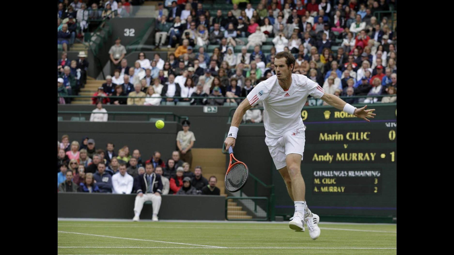 Wimbledon, Murray e Ferrer ai quarti, Williams manda ko Kvitova