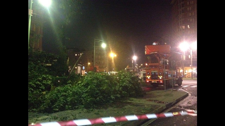 Nubifragio a Torino, alberi caduti e tre feriti lievi