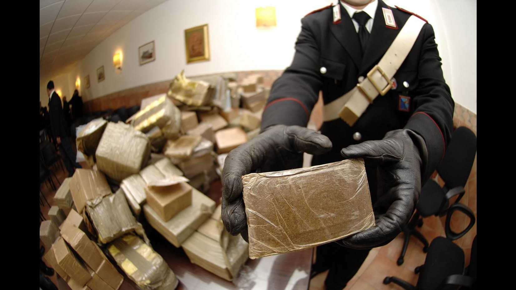 L’Aquila, droga tra orchidee: scoperte 15mila pasticche ecstasy