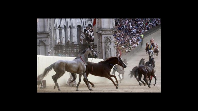 Palio di Siena, Brambilla: Corsa pericolosa, basta sfruttare animali