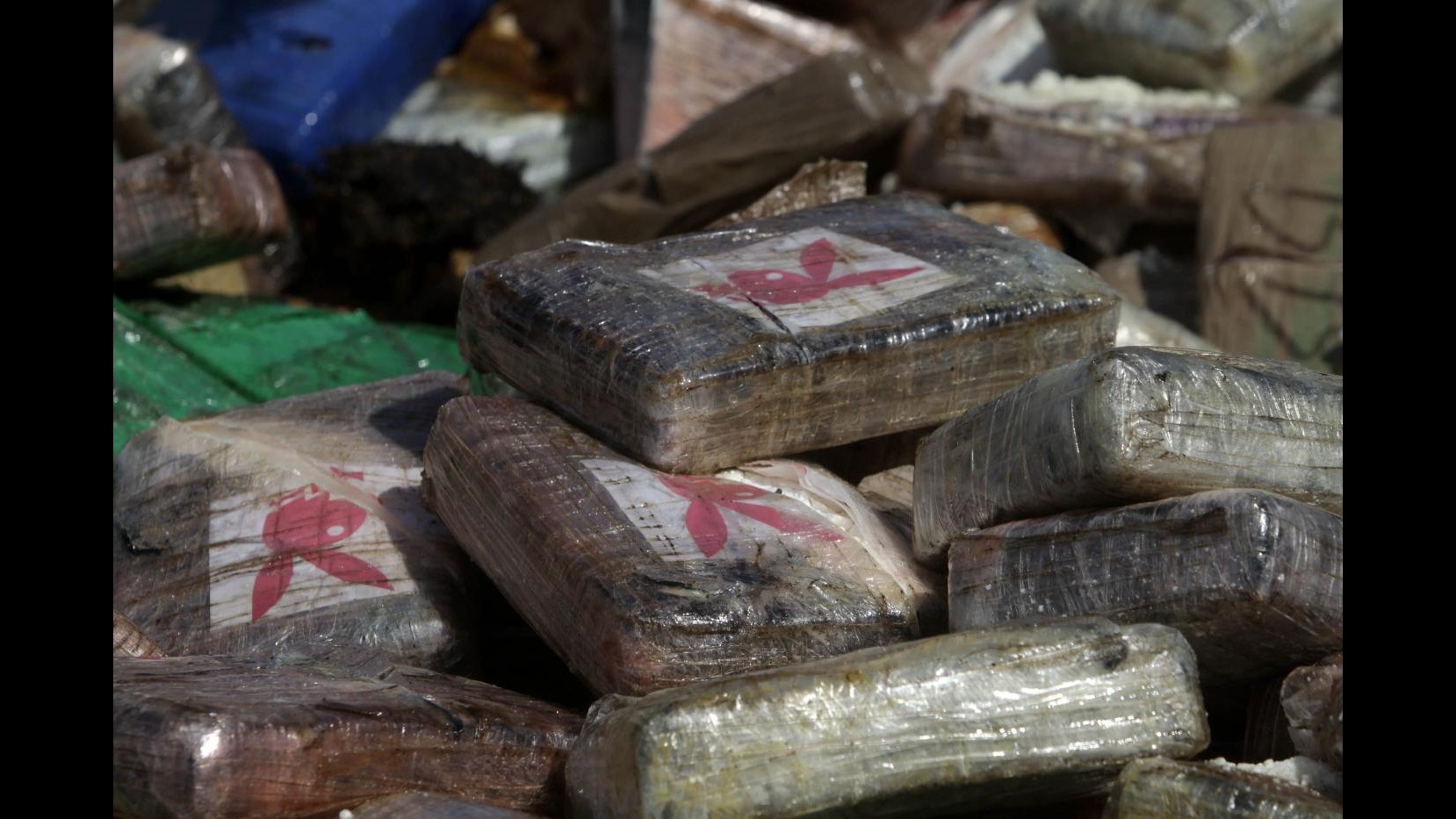 Roma, involucri colorati per distinguere droga: scoperta drug-house