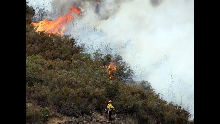 Vigili del fuoco: Oltre 20mila intreventi per incendi da inizio estate