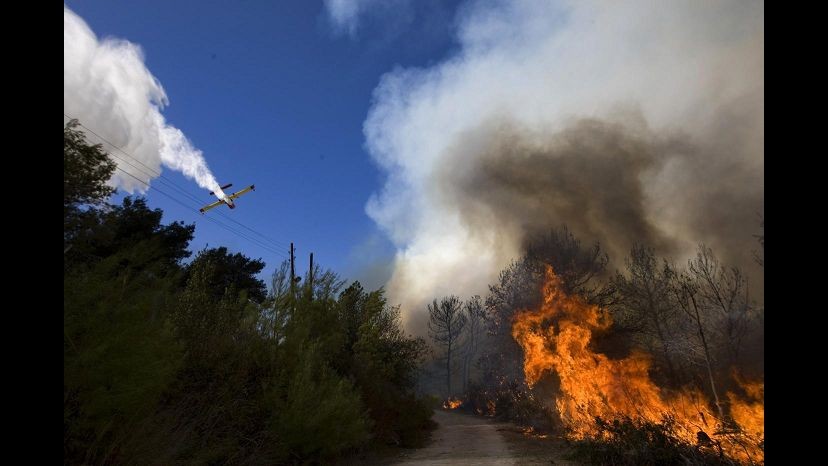 Roma, appicavano fuoco in riserva Monte Mario: presi due piromani