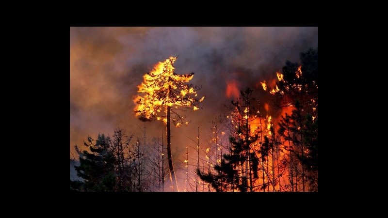 Incendi, ancora situazione critica nel Lazio: preoccupa Riano
