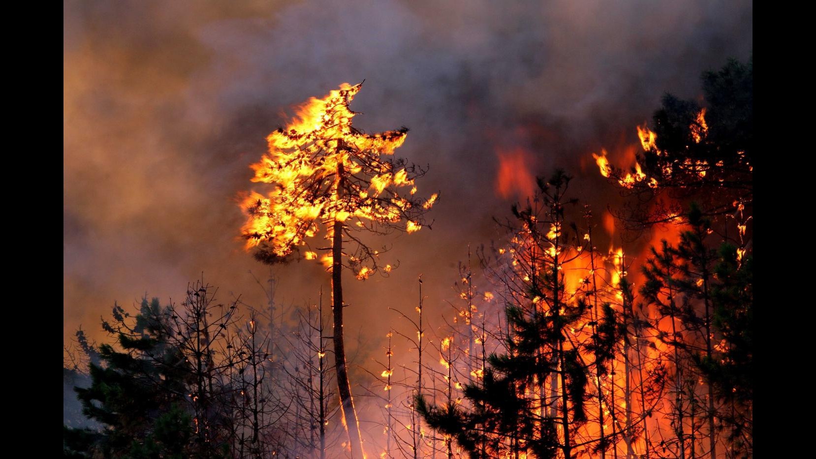 Incendi, brucia il messinese: fiamme minacciano case a Mili San Marco