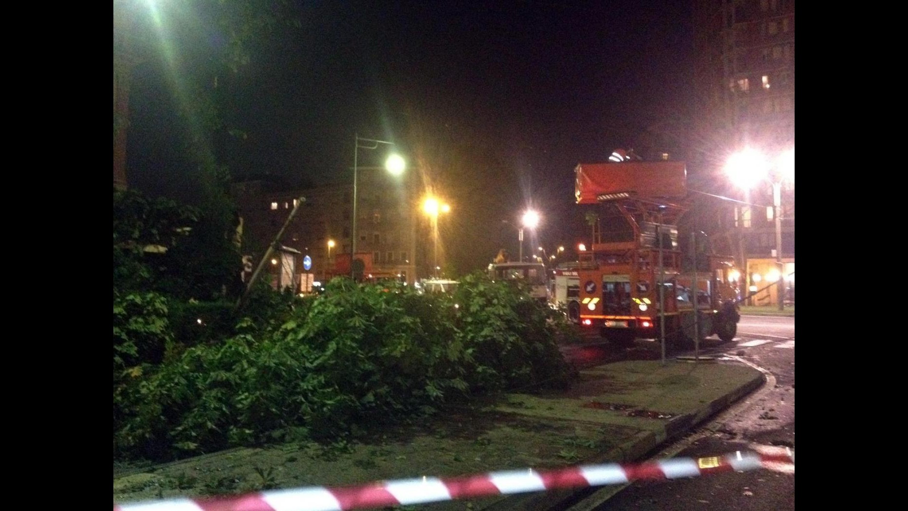 Maltempo, albero cade su auto, muore un uomo a Padova