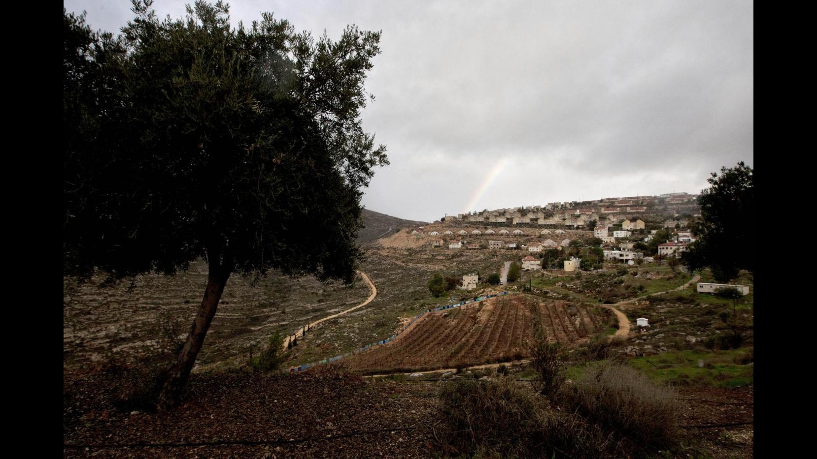 Medioriente, Shin Bet: Soldato israeliano rapito e ucciso da palestinese
