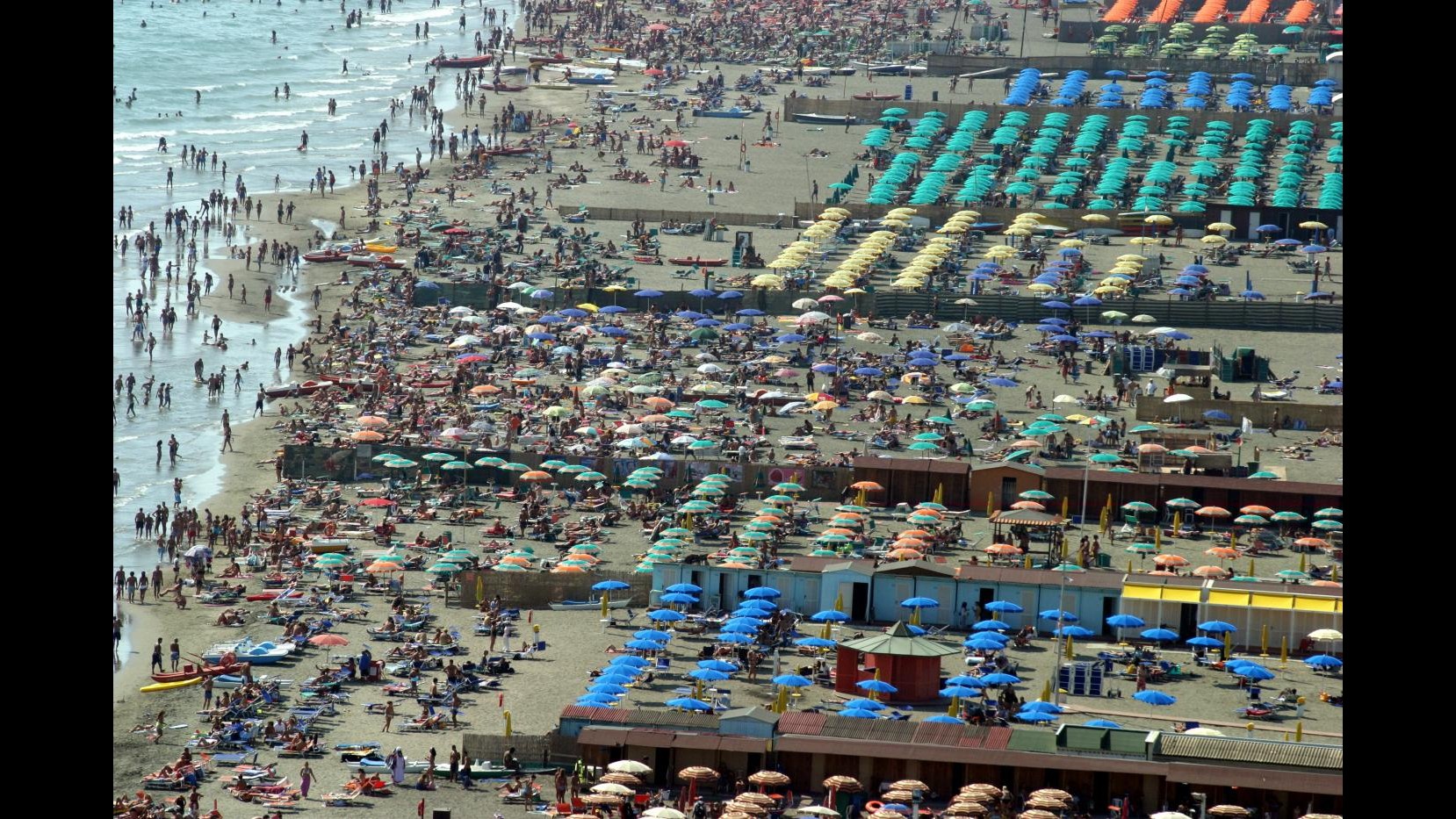 Roma, squalo avvistato a 10 metri da spiaggia: paura a Ostia