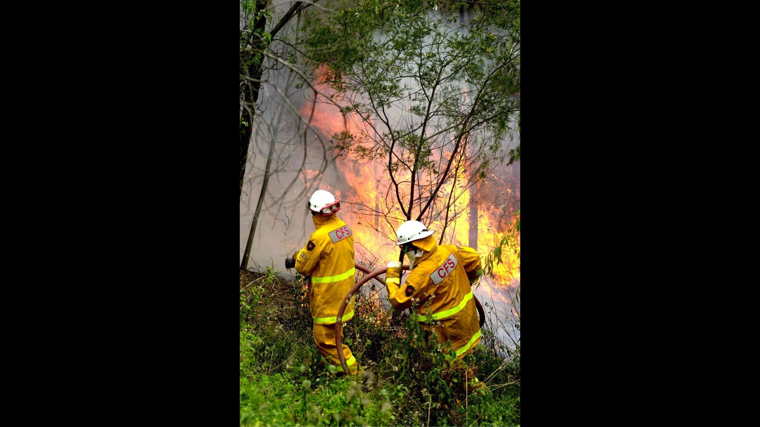 Coldiretti: Lucifero infiamma Italia, incendi raddoppiati